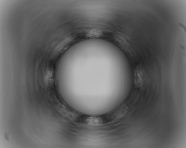 X0000103450714200809191748