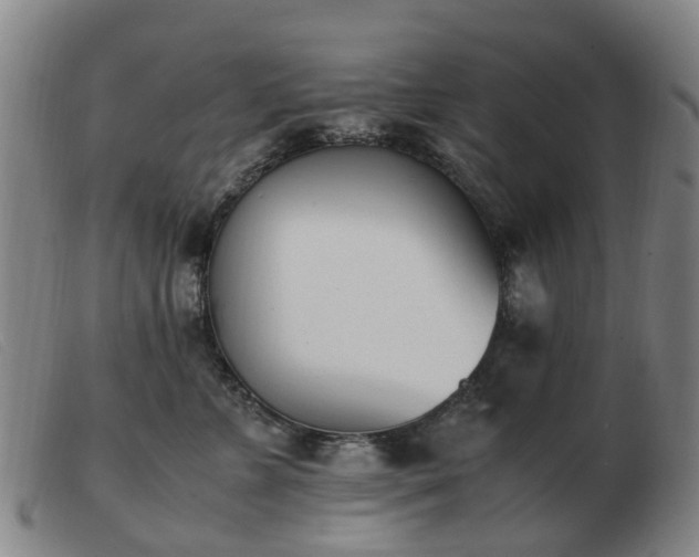 X0000103450715200809191748