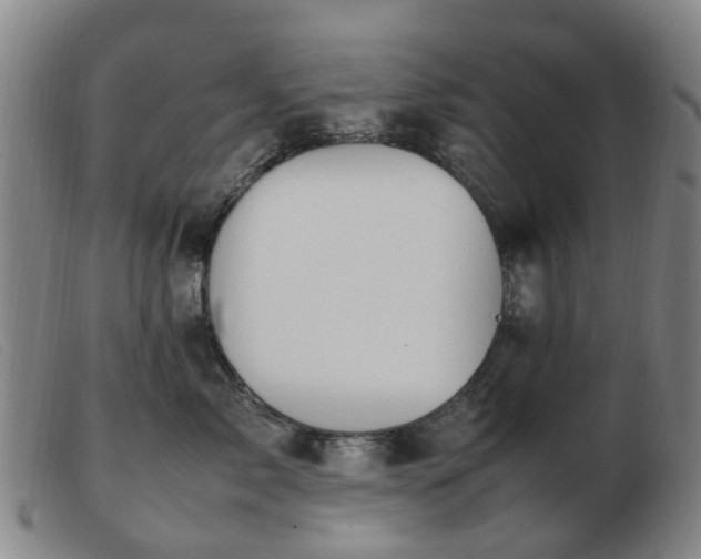 X0000103450717200809191748