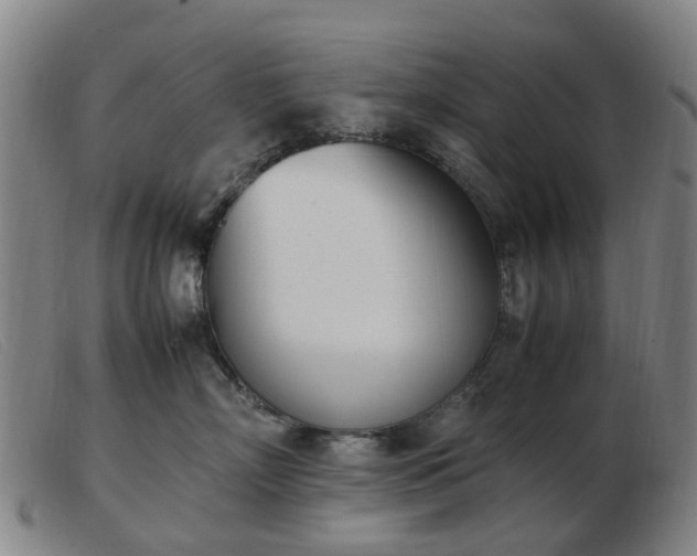 X0000103450718200809191748