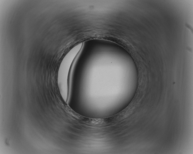 X0000103450720200809191748