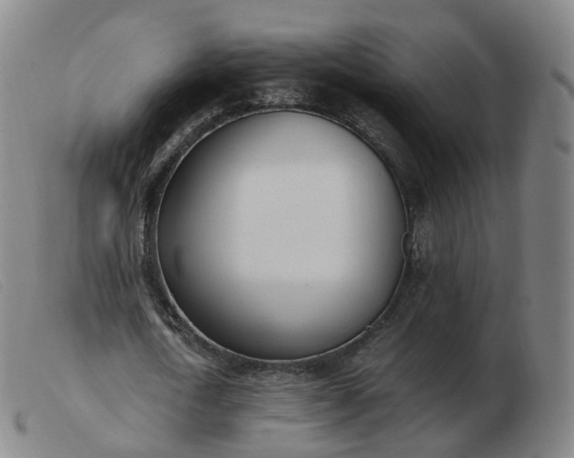 X0000103450722200809191747