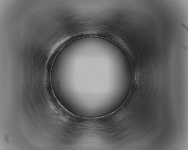 X0000103450724200809191747