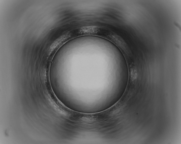 X0000103450725200809191747