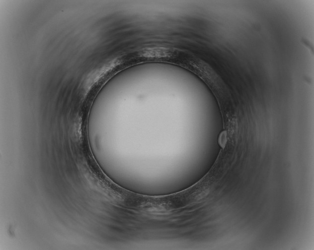 X0000103450727200809191747