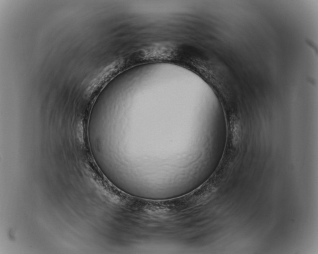 X0000103450729200809191747