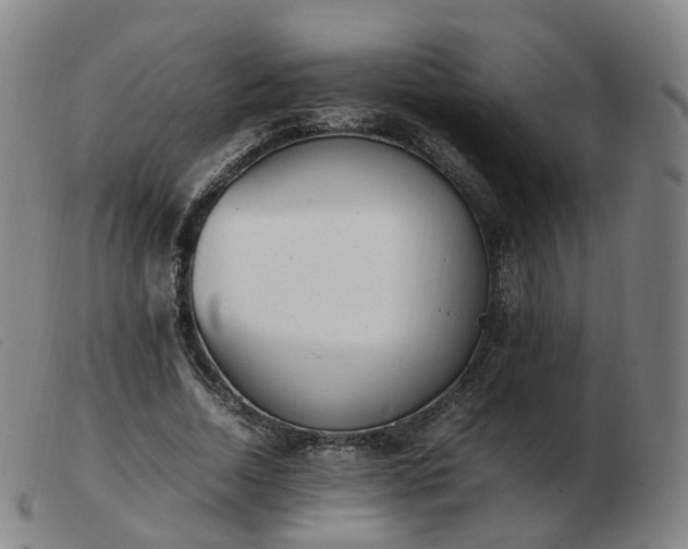 X0000103450730200809191747