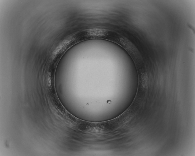 X0000103450731200809191747