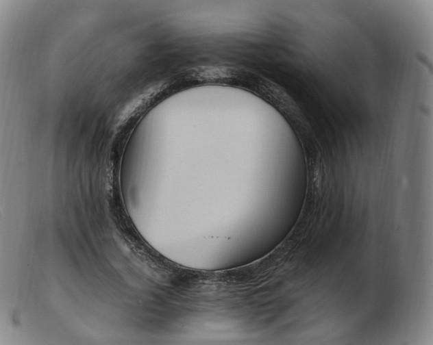X0000103450732200809191747