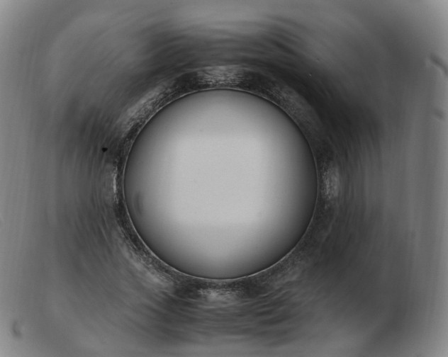 X0000103450733200809191747