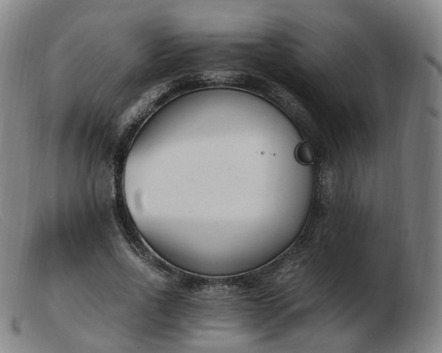 X0000103450734200809191747
