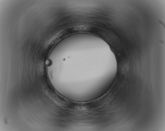 X0000103450735200809191747