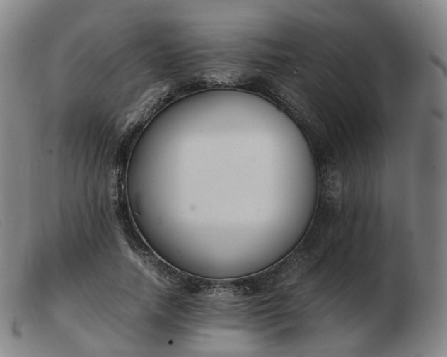 X0000103450738200809191747