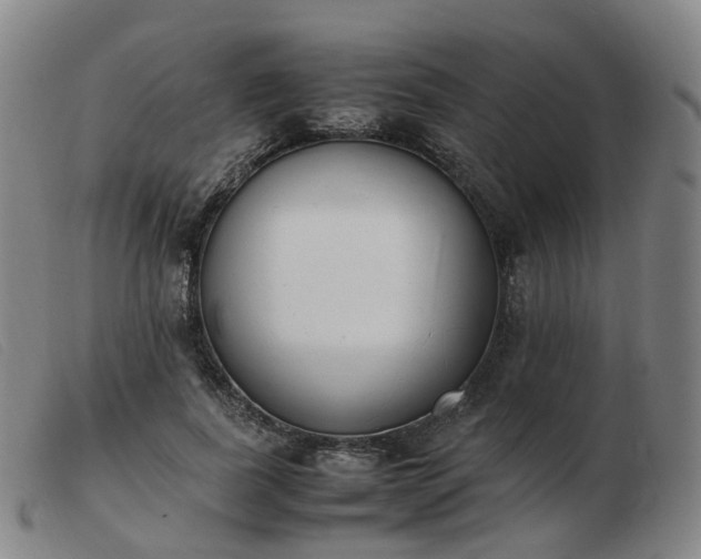 X0000103450739200809191747