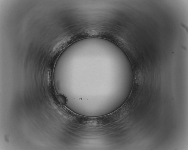 X0000103450740200809191747