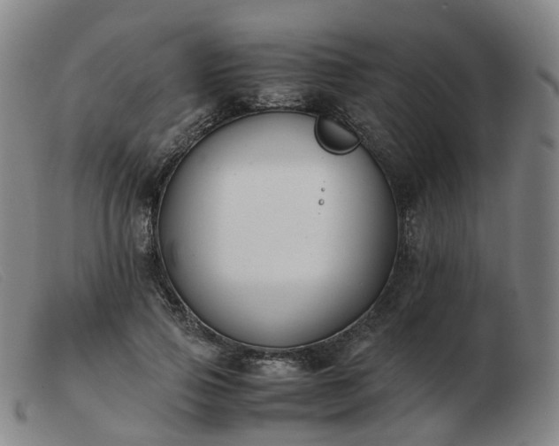 X0000103450741200809191747