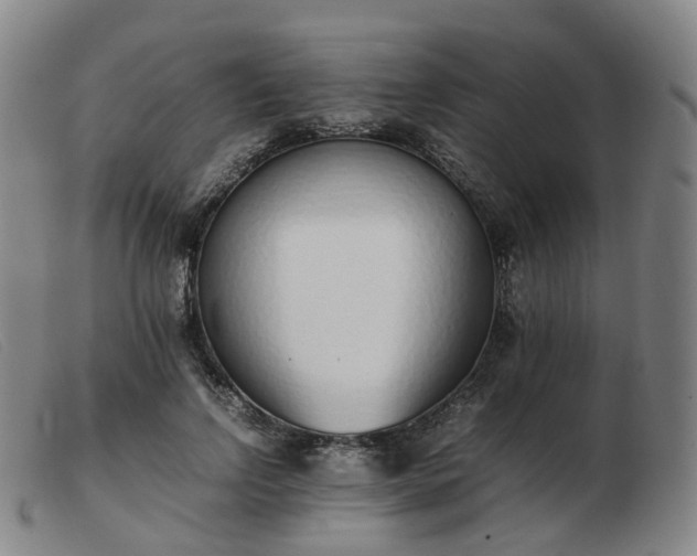 X0000103450742200809191747