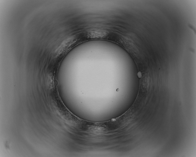 X0000103450743200809191747