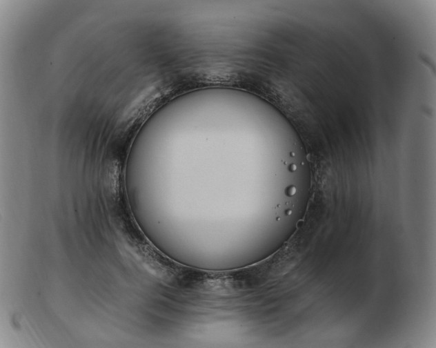 X0000103450744200809191747