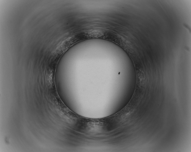 X0000103450745200809191747