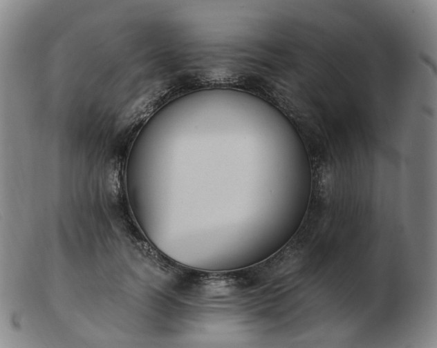 X0000103450746200809191747