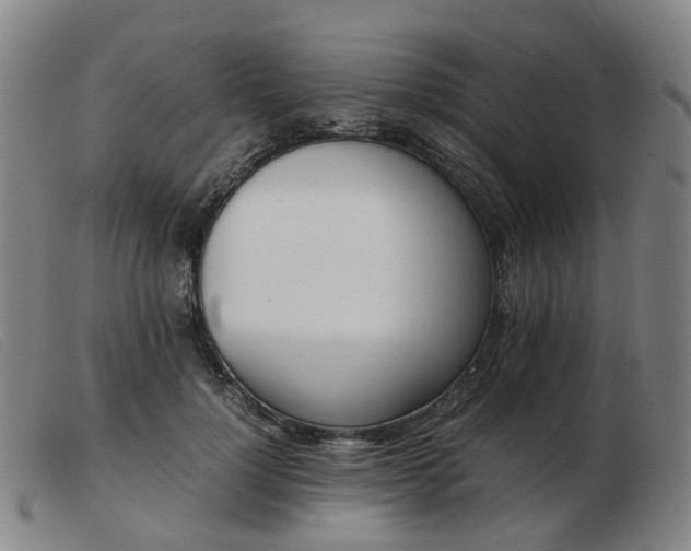 X0000103450748200809191747
