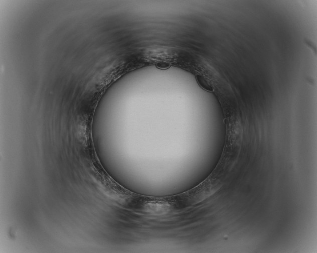 X0000103450749200809191747
