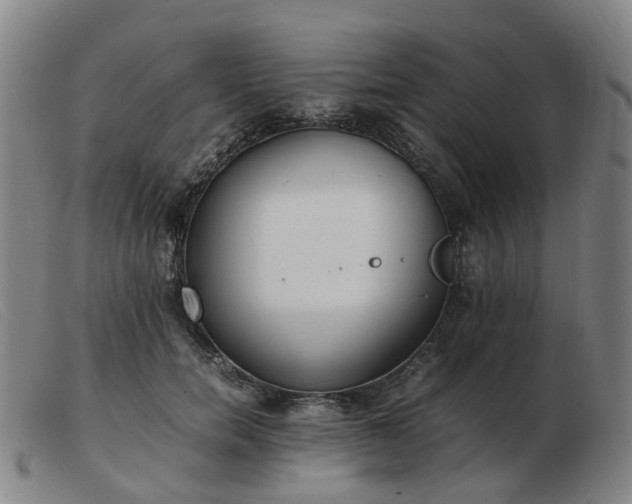 X0000103450750200809191747