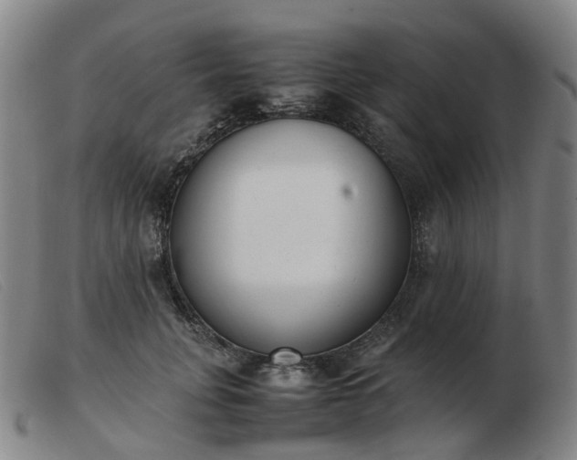 X0000103450751200809191747