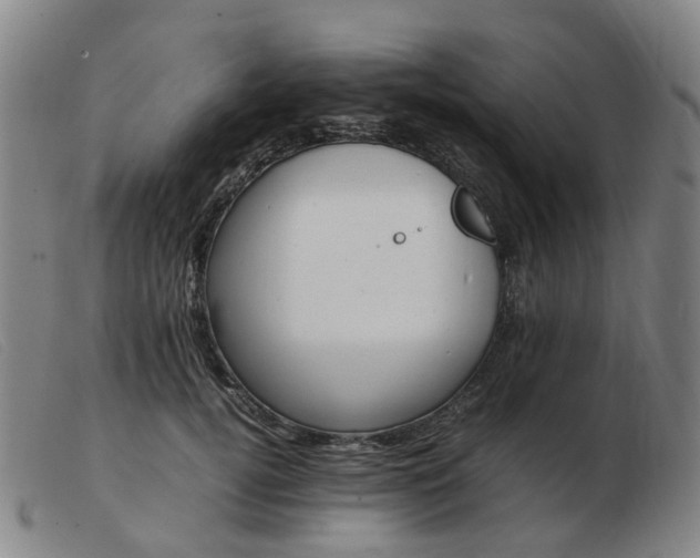 X0000103450752200809191747
