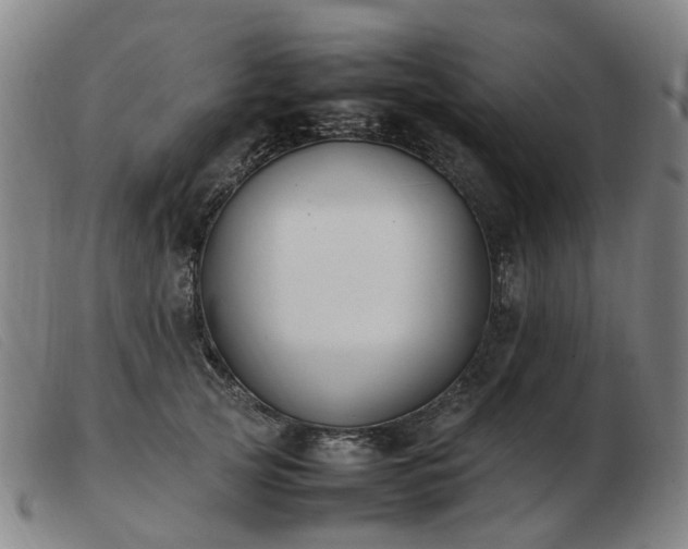 X0000103450753200809191747