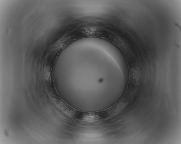 X0000103450754200809191747