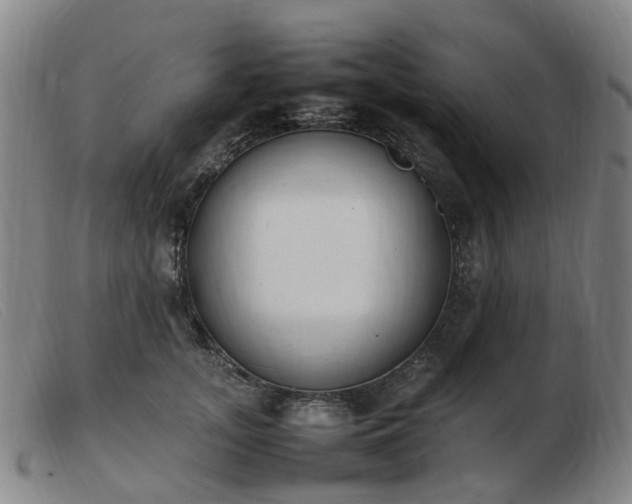 X0000103450755200809191747