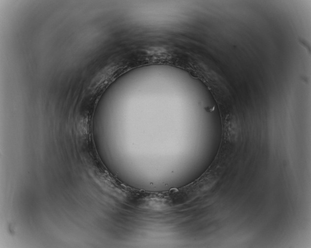X0000103450756200809191747