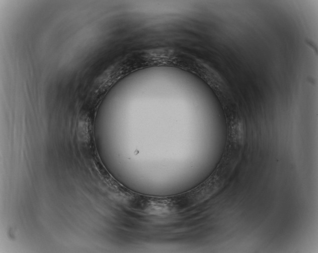 X0000103450757200809191747