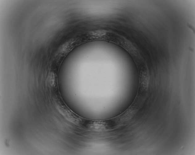X0000103450758200809191747