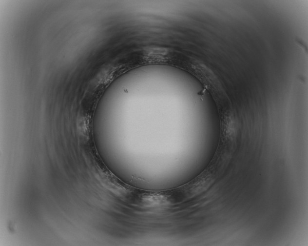 X0000103450759200809191747