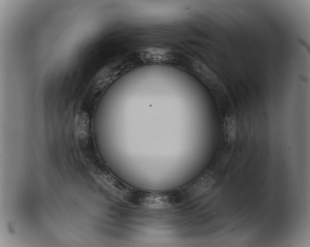 X0000103450760200809191747