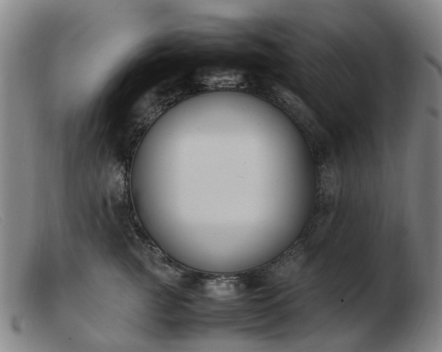 X0000103450761200809191747