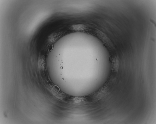 X0000103450762200809191748