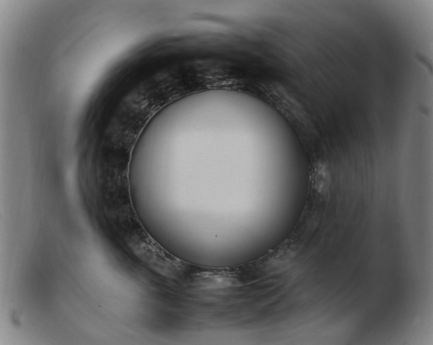 X0000103450763200809191748