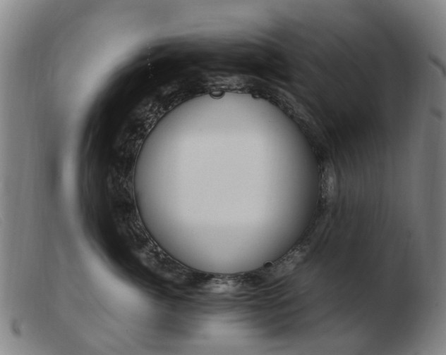 X0000103450764200809191748