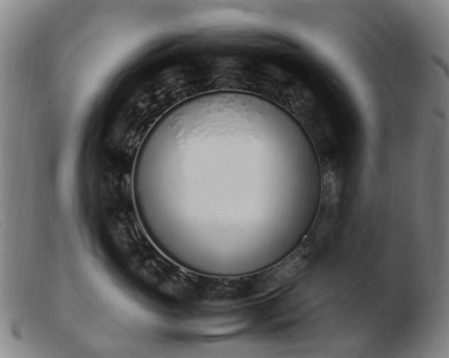 X0000103450765200809191748