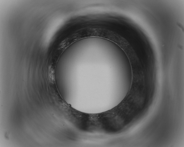 X0000103450766200809191748