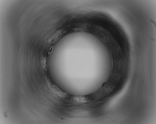 X0000103450767200809191748