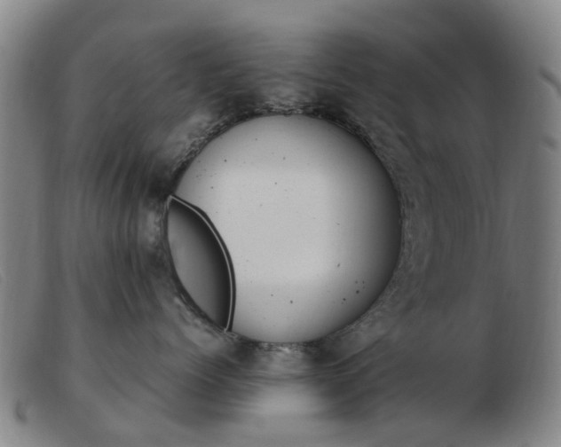 X0000103450768200809191748