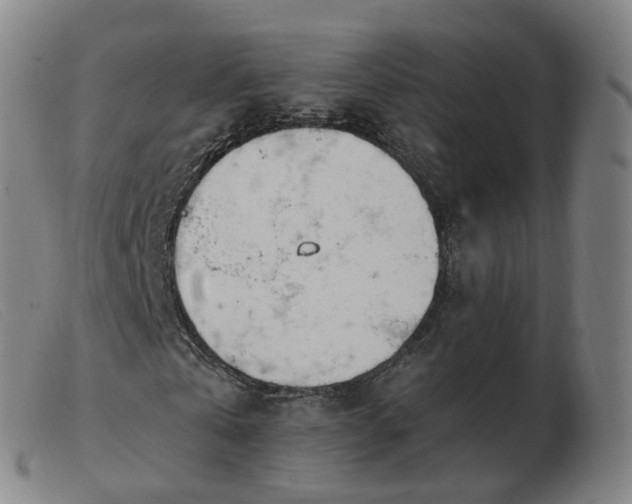 X0000103450769200809191747