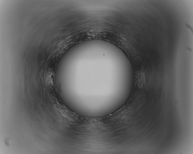 X0000103450770200809191747