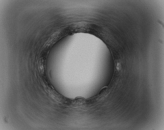 X0000103450771200809191747