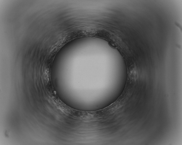 X0000103450772200809191747